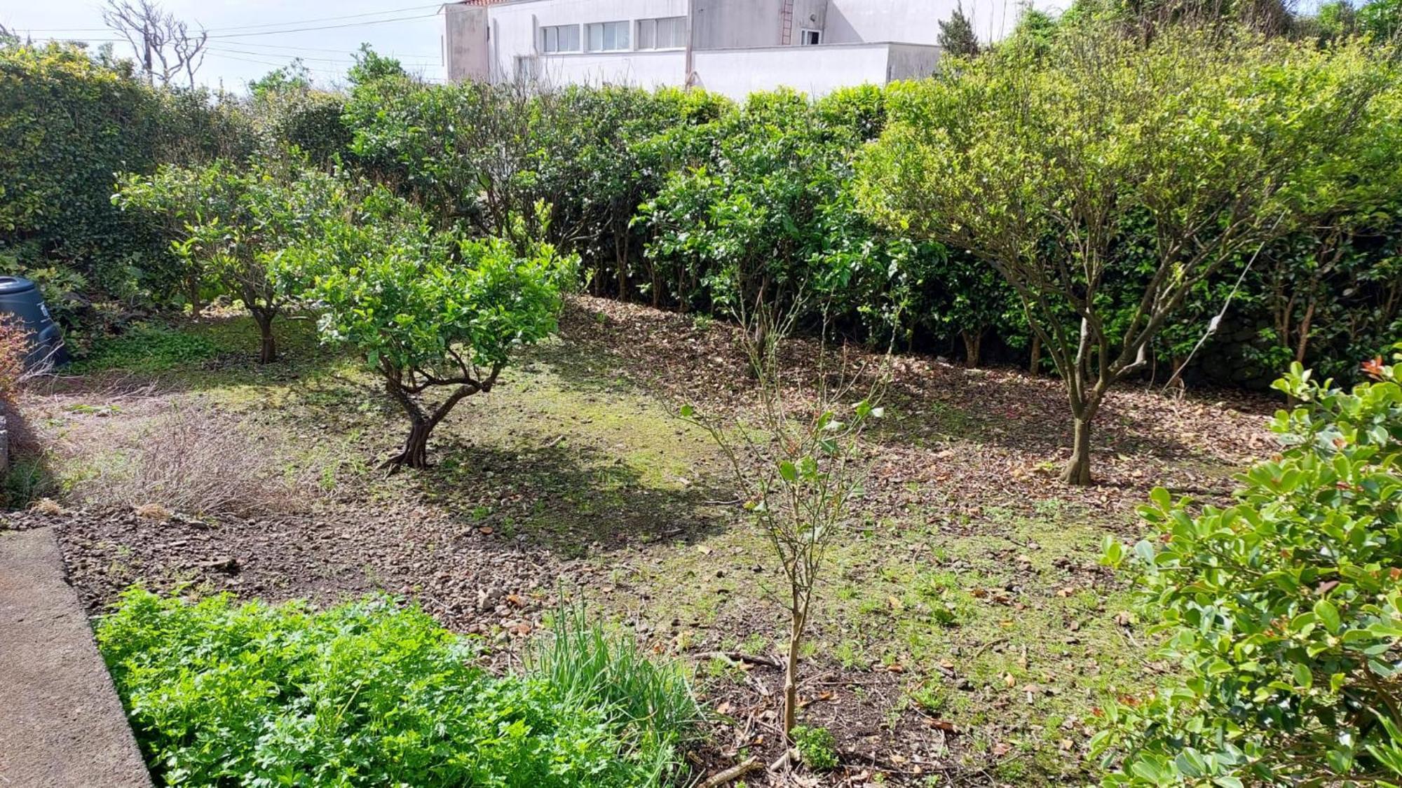 Retiro Das Camelias 1 Lajes das Flores Buitenkant foto