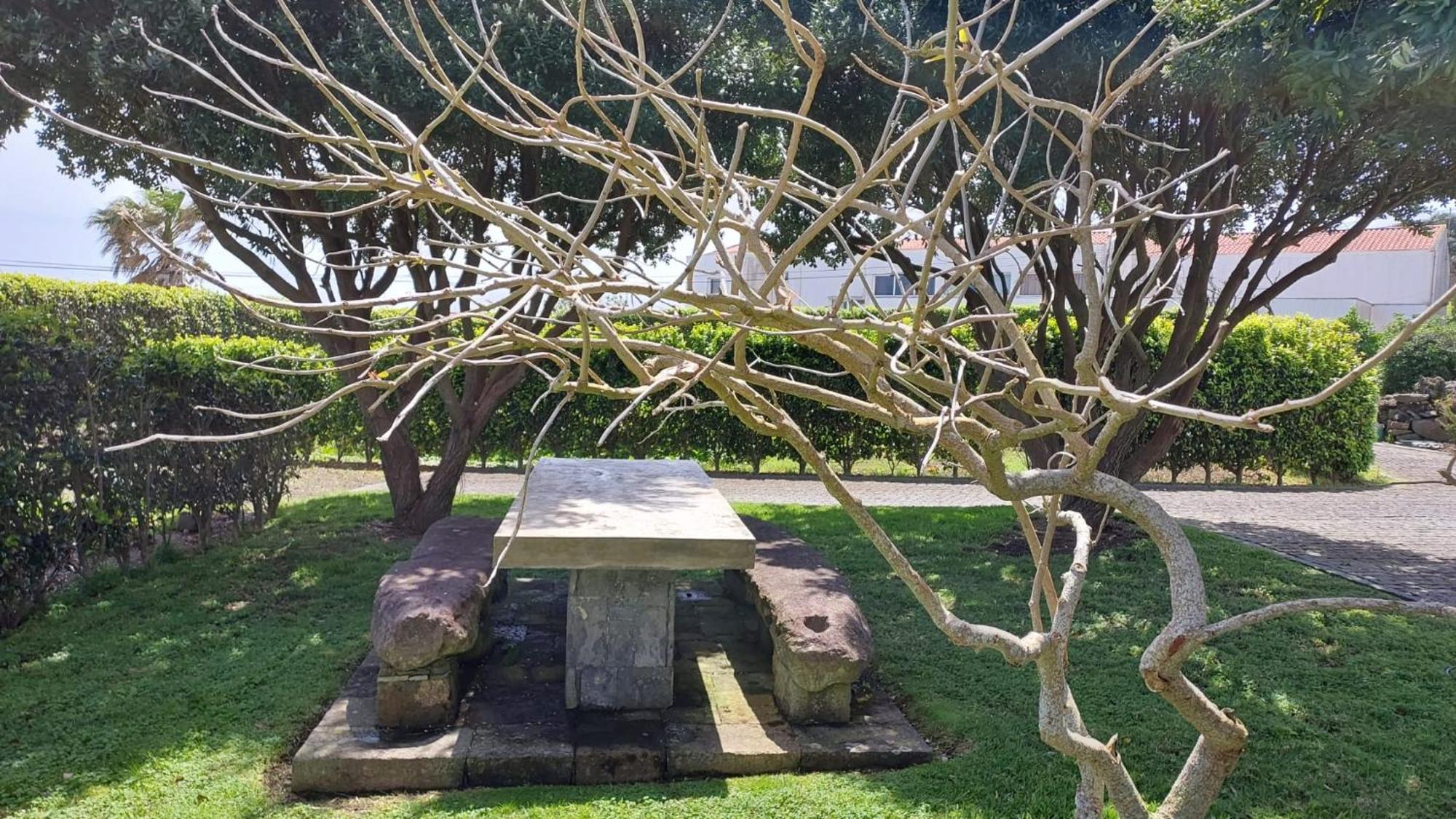 Retiro Das Camelias 1 Lajes das Flores Buitenkant foto